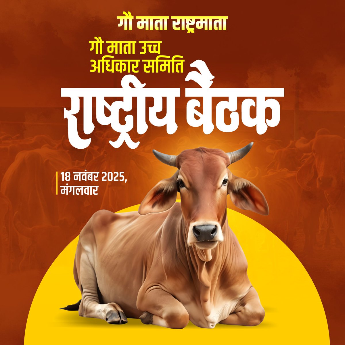 computerbaba3's tweet image. जय गौ माता