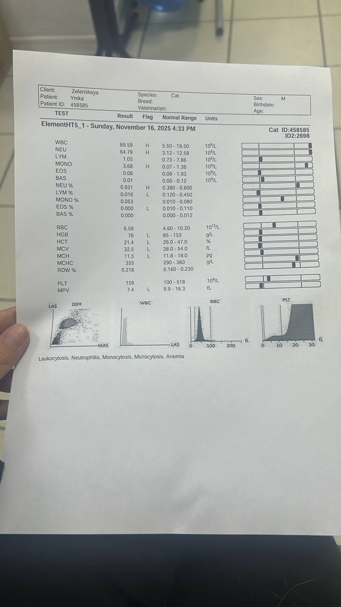 У Умочки все отказывает уже, креатинин запредельный, сейчас на стационаре на капельницах, чтобы хоть немного поддержать. Лекарство дорогое купили ему, плюс стационар надо оплачивать. Кто сможет помочь Умке, помогите, пожалуйста. Сбер 89513896703