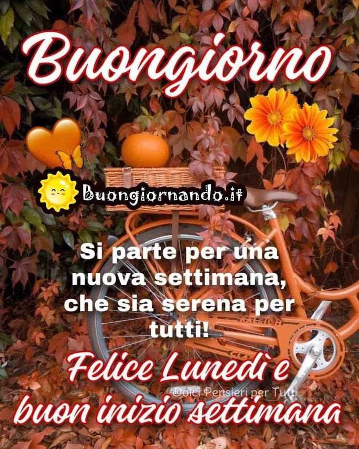 <a href="/Susy_1968/">Susanna Giannelli</a> buona giornata e buona settimana 🎈🌷🌼🥀🍩🥮🍫🐨🍰🧁🥧🍺💐🍨🍄‍🟫🍀🍄🌰🌱🌺🍵🫖🍪🍧☕