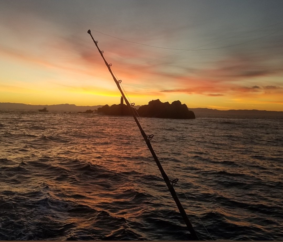 PuertoCharters's tweet image. Happy place Puerto Vallarta fishing 
travelvallarta.com