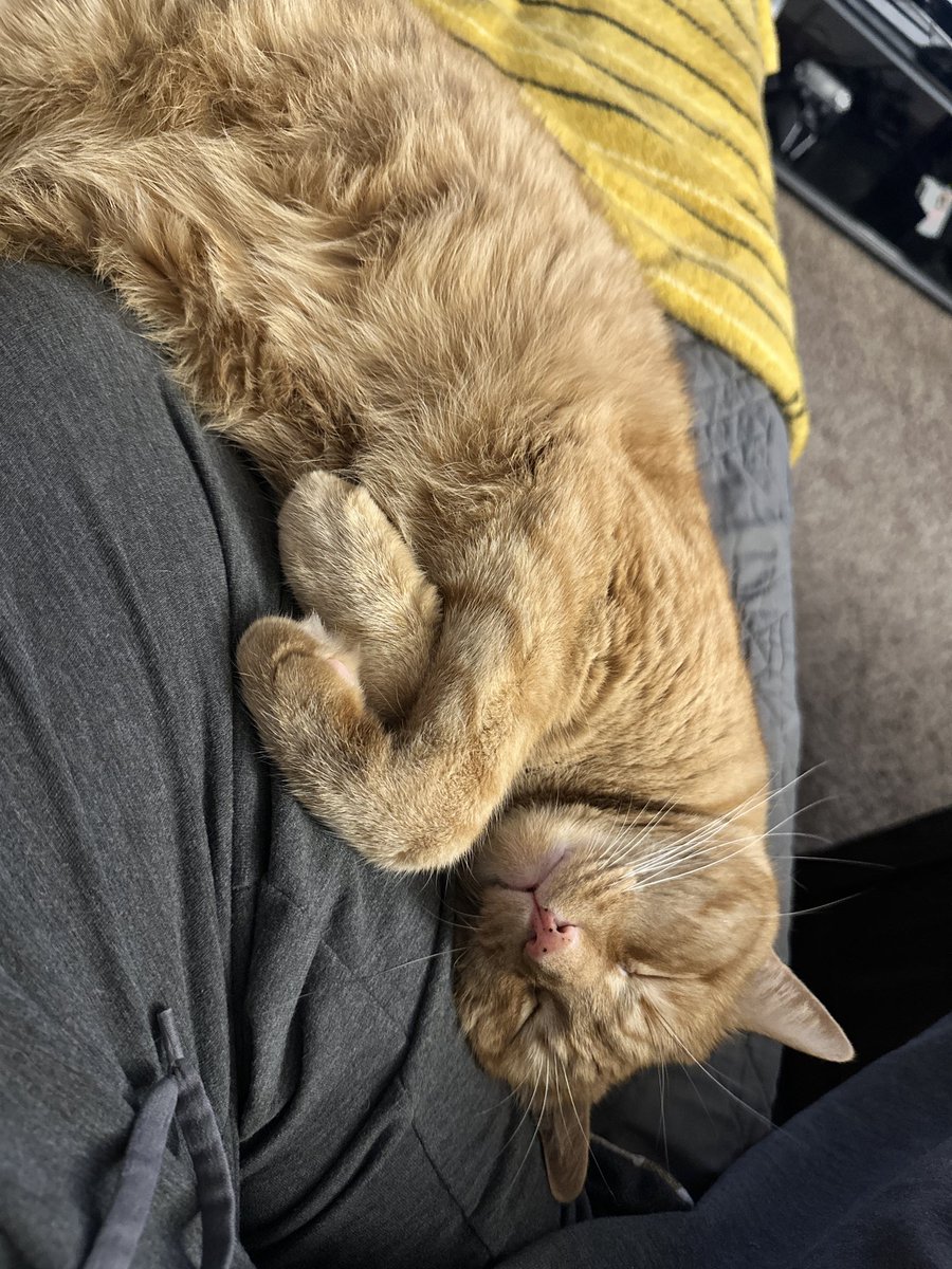 InfamousGM1 tweet media