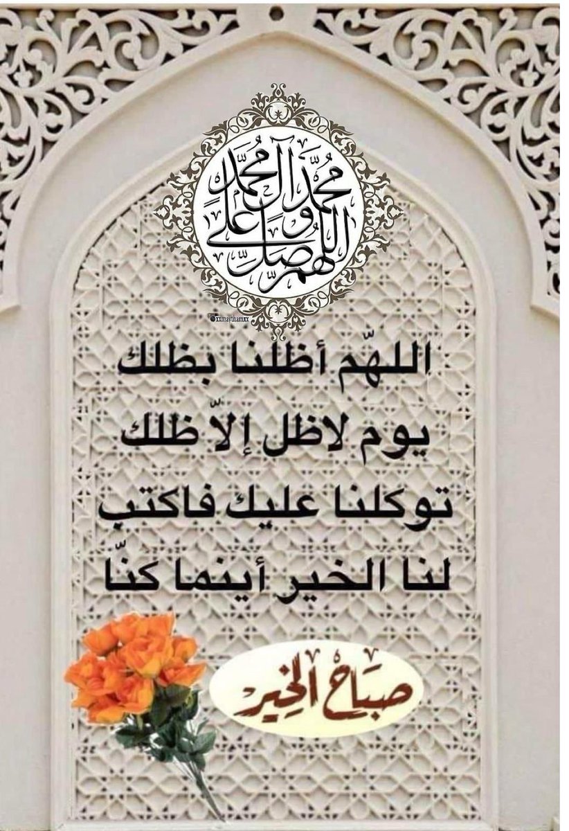 ابو نور (@t9ops2qenit6adp) on Twitter photo 