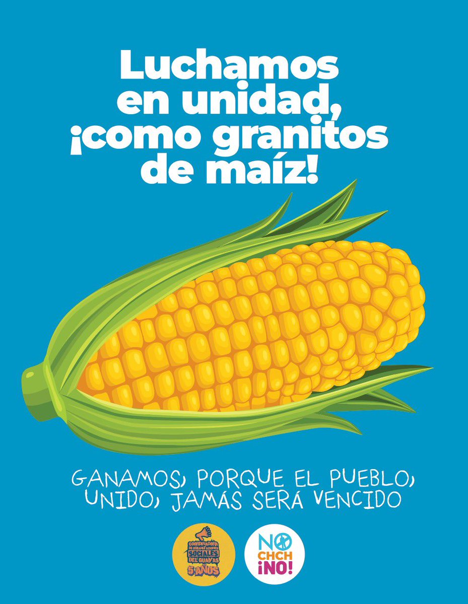 NOchchNO's tweet image. Lecciones.
Cuando nos juntamos, cosas mágicas suceden.
Cuando nos organizamos, en minga, poniendo ideas, corazón, cuerpo y buenas intenciones podemos construir algo maravilloso.

Sostengamos la unidad, no permitamos que los que viven del odio nos sigan separando.

Es tiempo de…