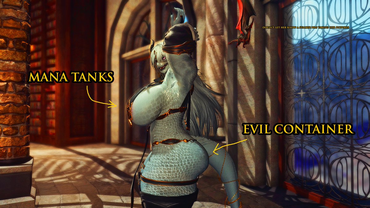 The Tigress of Limsa 🔞 tweet media