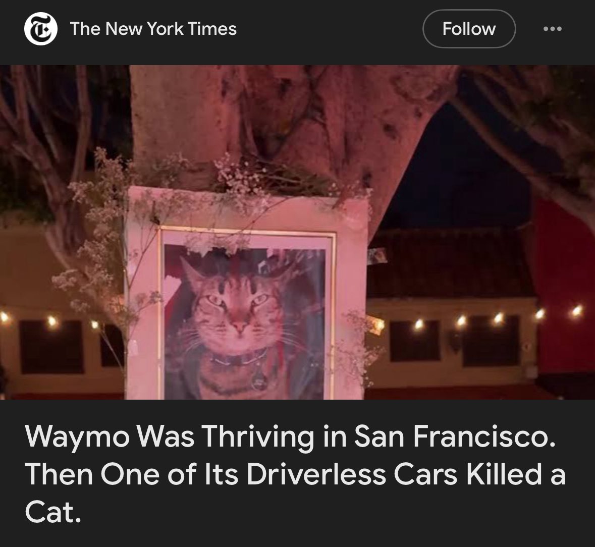 41 human traffic fatalities in SF last year <a href="/nytimes/">The New York Times</a>. Cats are special, but journalism is salivating at any chance to hate on <a href="/Waymo/">Waymo</a>.