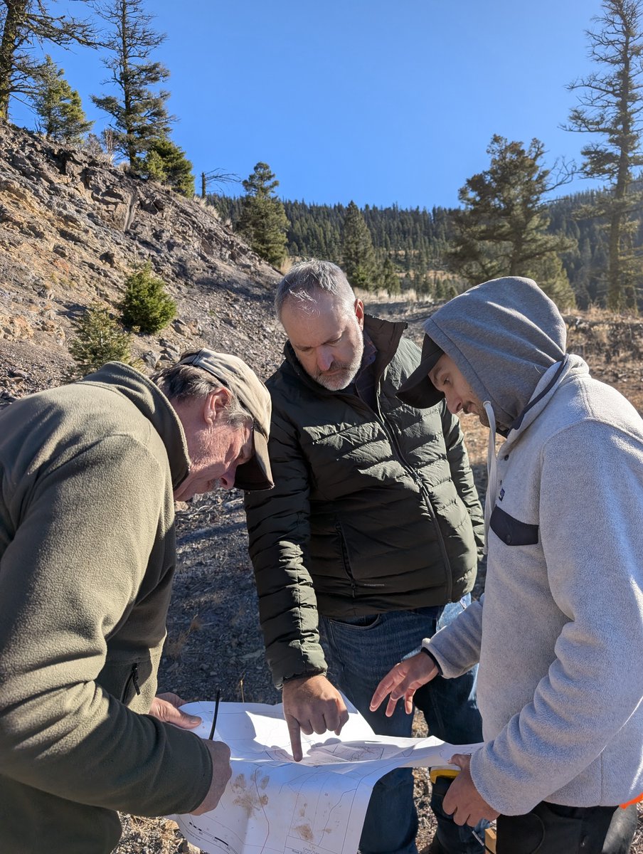 Sentinel Metals tweet media