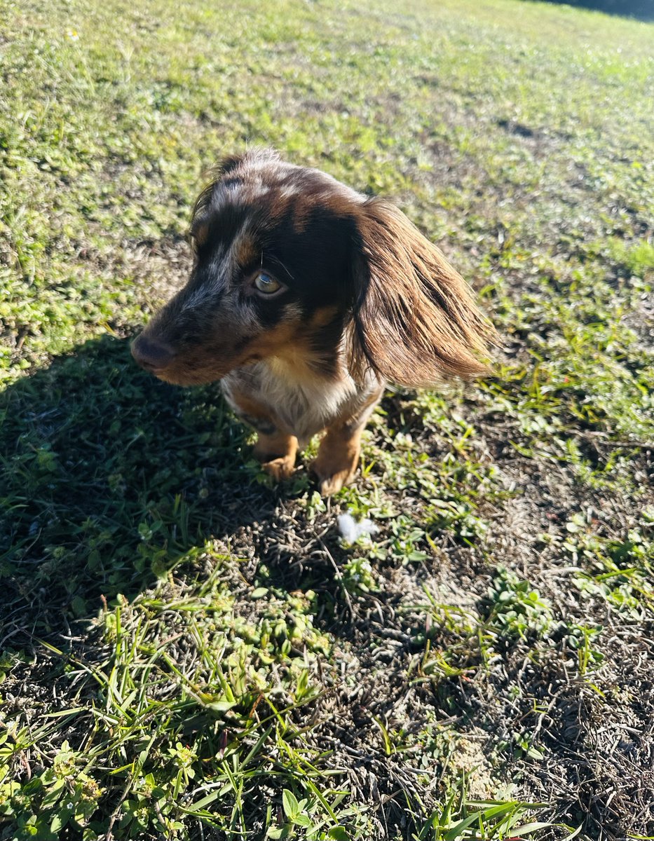 xX KIWI Xx tweet media