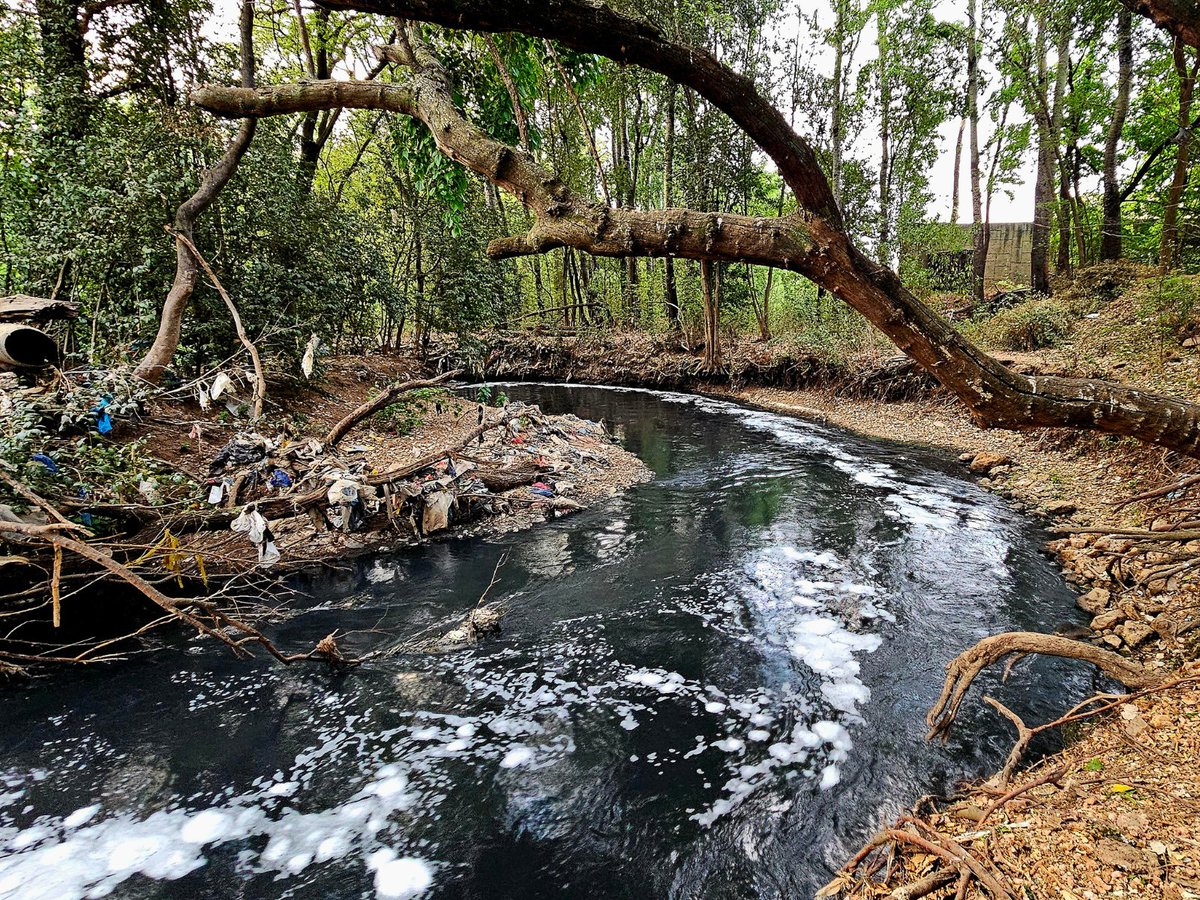 “After years of river clean-ups, I realised we are in ‘deep water’… Deep Water Movement is the response to SA’s larger water problems.” - Tarryn Johnston 💧🌍

Are we giving the next generation a world to be proud of?

Read more 👉 t.ly/gSSD-