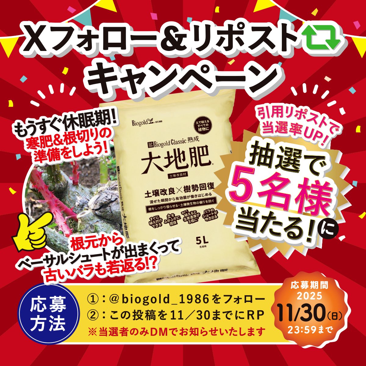 biogold_1986's tweet photo. ／
#キャンペーン　第三弾❤️‍🔥
世界最強の有機肥料バイオゴールド🌎💫
フォロー＆リポスト #キャンペーン 
＼

生育速度が3倍に！？
バラの寒肥に使えばベーサルシュートが出まくって古いバラも若返る！？
大地肥5Lを5名様に #プレゼント ！

🎁応募方法
①@biogold_1986 をフォロー
②この投稿を11/30 までにRP
引用リポストで当選率UP！
※当選はDMにて

2025/11/30 23:59〆

キャンペーン詳細はこちら🔻
https://t.co/QsxvbMGqsJ

#バイオゴールド
#キャンペーン