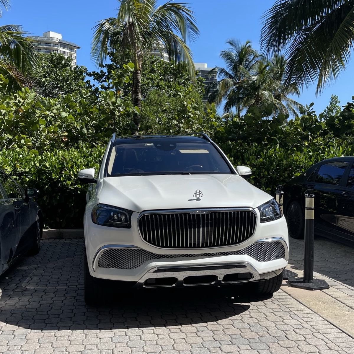 Can I get a GM? 🥐