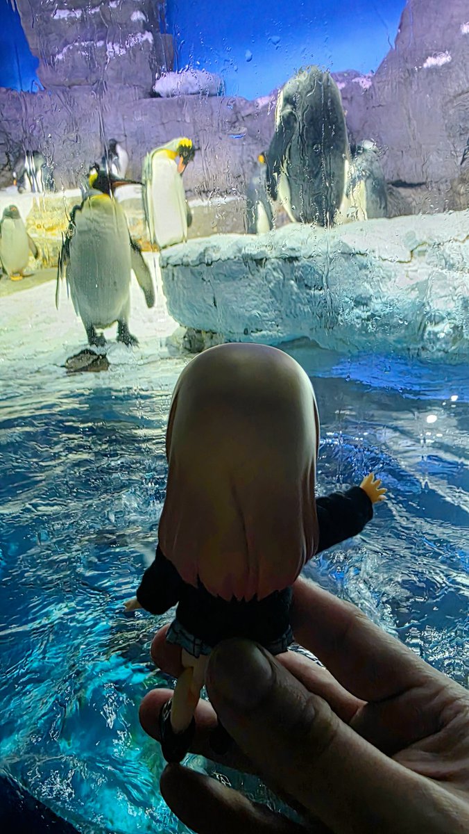 Fishies and penguins!