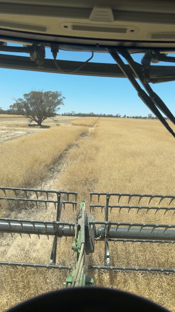 Taj Hasson tweet media