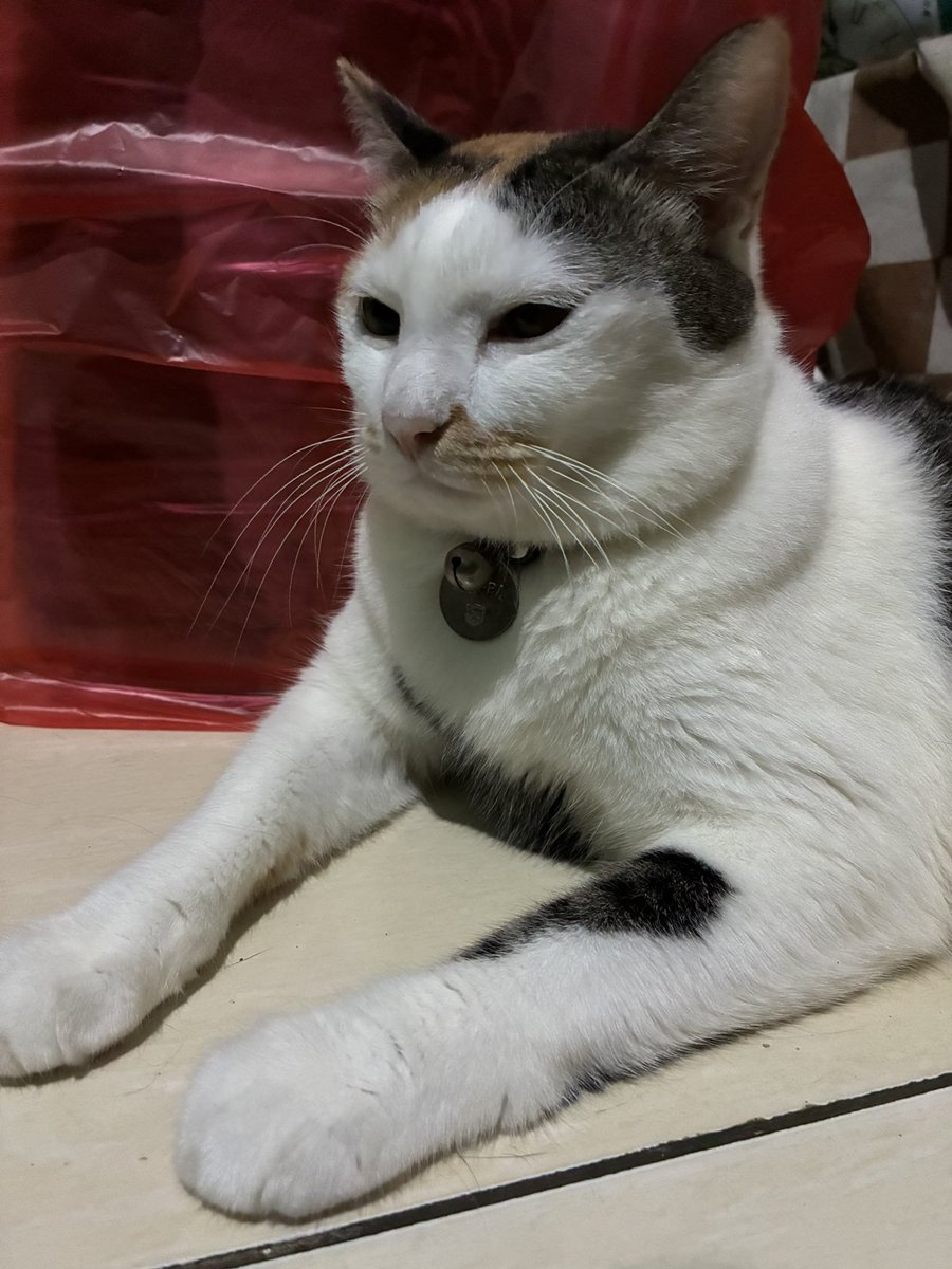 <a href="/el_lipaa/">eL 🇵🇸</a> Apa maksud??? 🫩