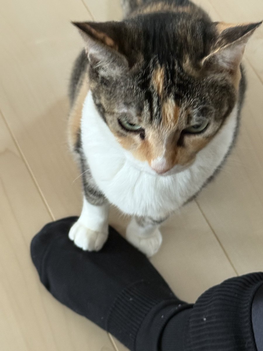 arie0415's tweet photo. なんかした？私、なんかした？しかし手がかわいいね♡ https://t.co/MWoy4VQmlK