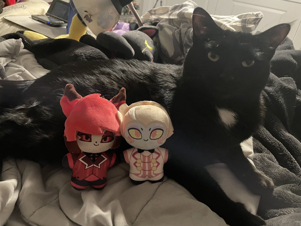 GlitchesVoid's tweet image. Look at the plushies that just came in (got them from @zllm6 )
THEYRE SO CUTEEE
Mocha approves