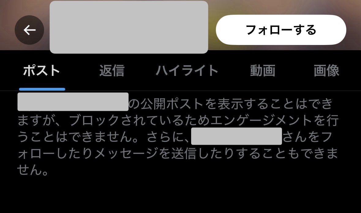 大手垢さんにブロックされてた絡んだ事ないし弱小垢に「？」だけど