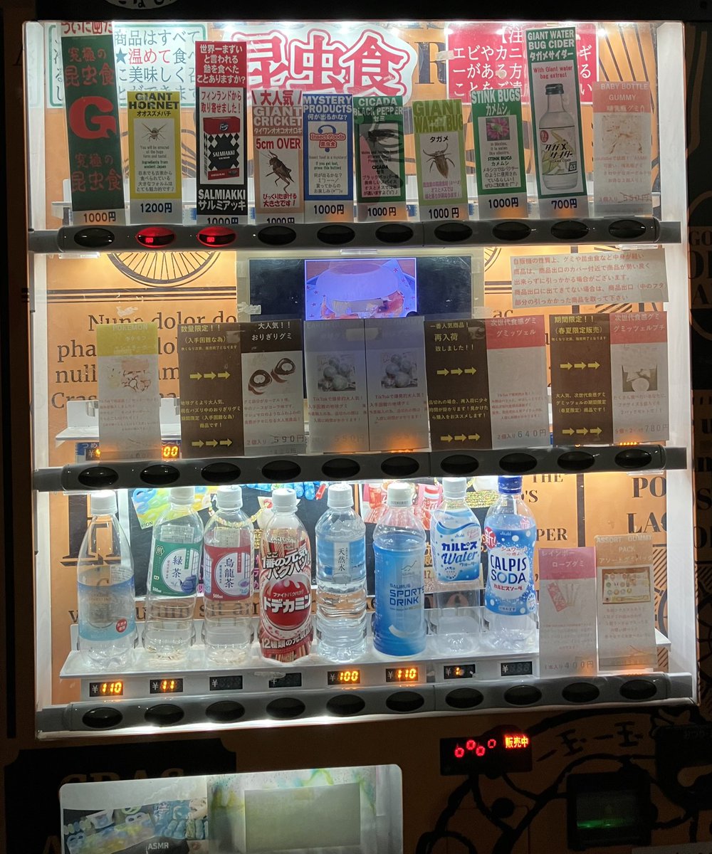 よっちゃん (@yocyan0828) / Posts / X