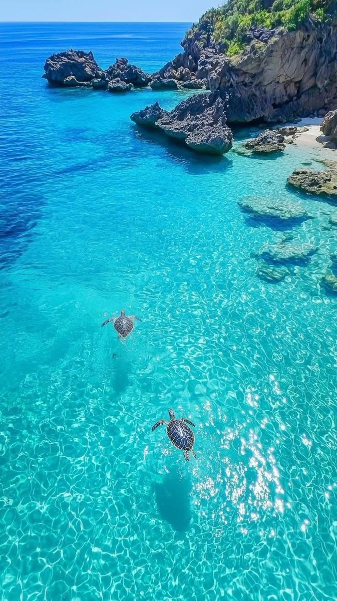 TheWaterDiaries (@water_diaries) on Twitter photo 