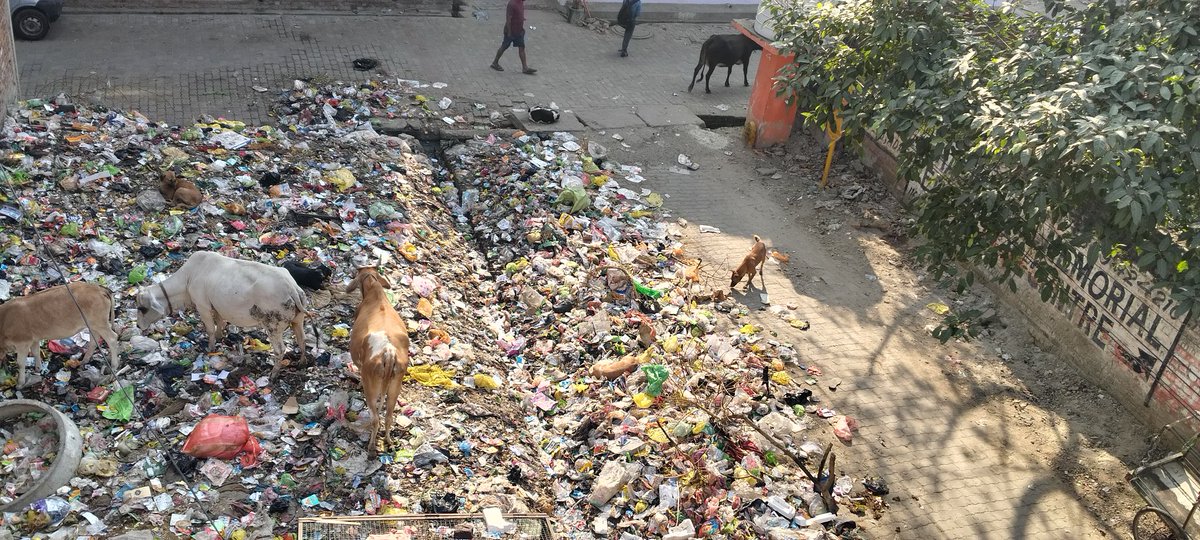 UpSoch's tweet photo. Kripya safai krane ki kripa kre maharaj 
Sadak tak kuda faila hua h
Ward 60 dadi ma hotel ke piche

@CMOfficeUP @mayorkanpur @DMKanpur @MCkanpur https://t.co/HZUtptbmCL