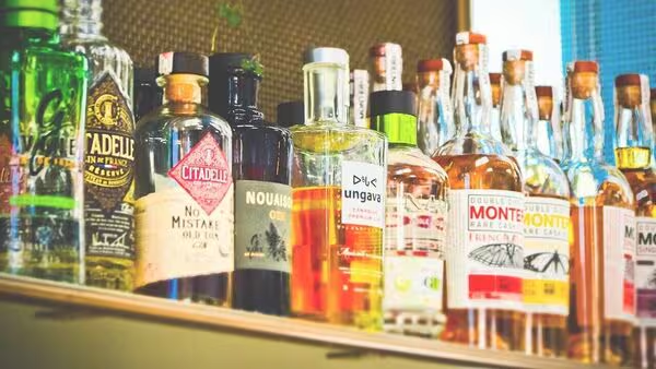 How to Apply for Gujarat Liquor E-Permit Online : Step-by-Step Guide for Visitors & Tourists