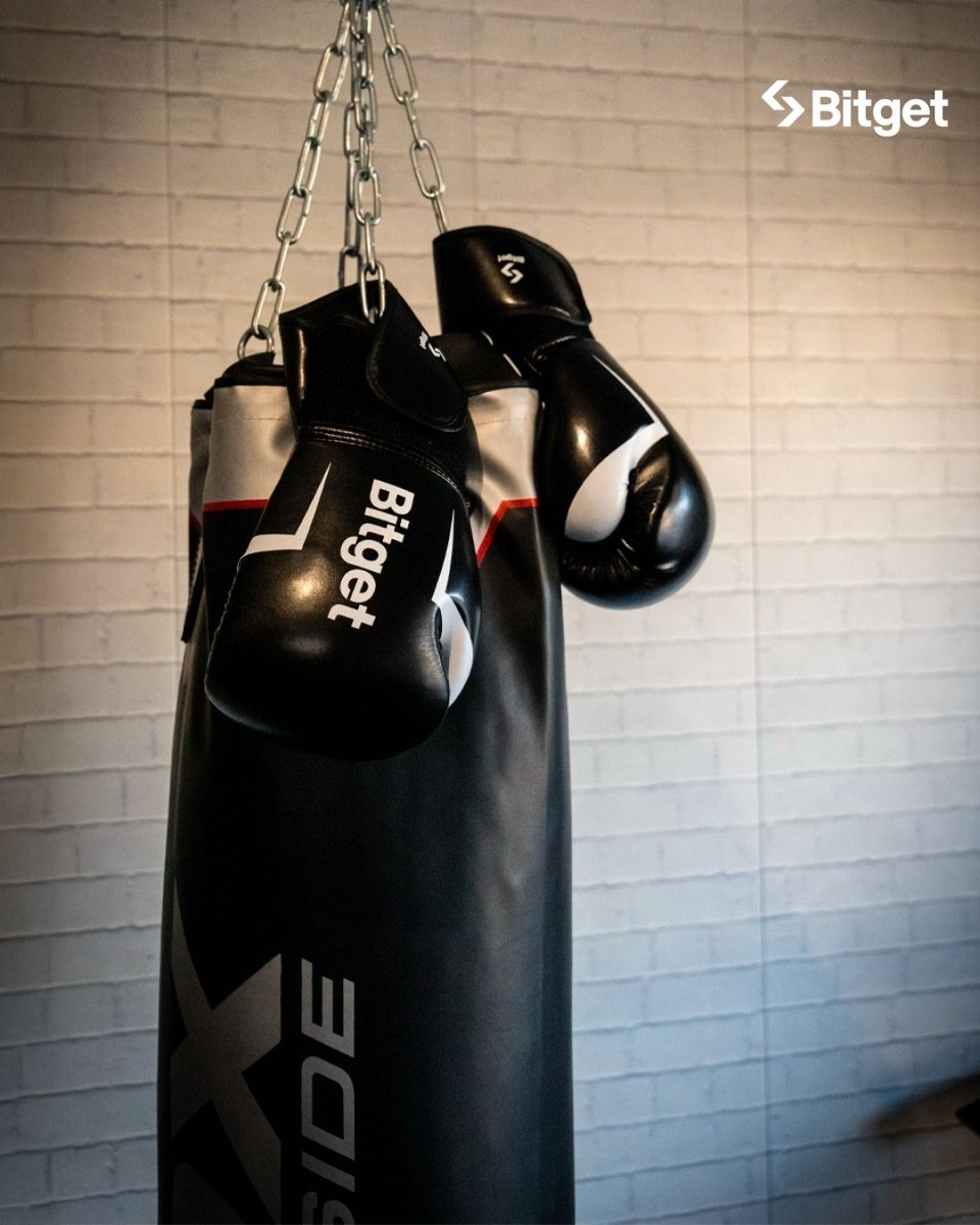 BitgetRU's tweet image. Сохраняй дисциплину🥊