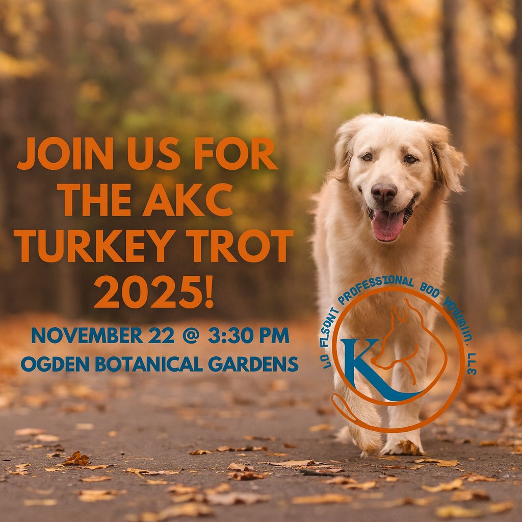 K9Fluent's tweet photo. Join us for the AKC Turkey Trot 2025 on Nov 22 @ 3:30 PM at the Ogden Botanical Gardens! 🍁🐕
This community walk counts toward your AKC Fit Dog Title — perfect for staying active and enjoying fall with your pup.

All friendly, leashed dogs welcome! 🐾

#K9Fluent #AKCTurkeyTrot https://t.co/AjEiPusAAB