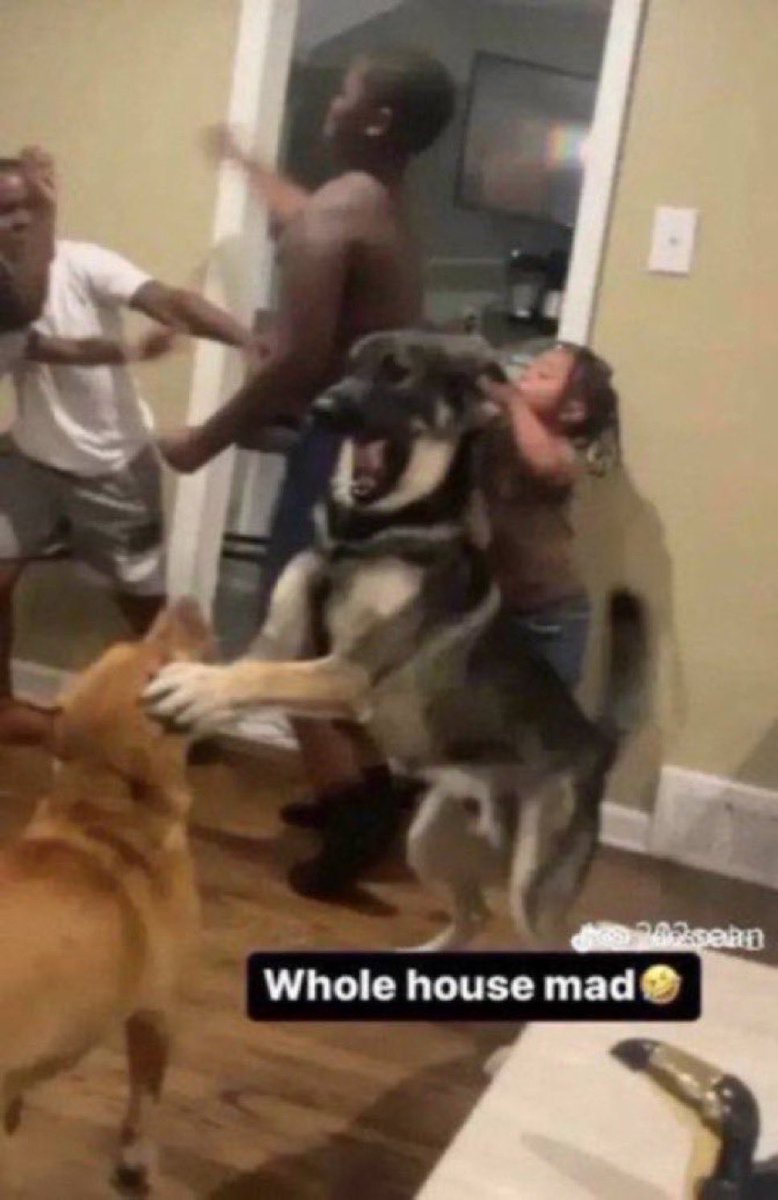 My roommates forced to watch GIDBAM win