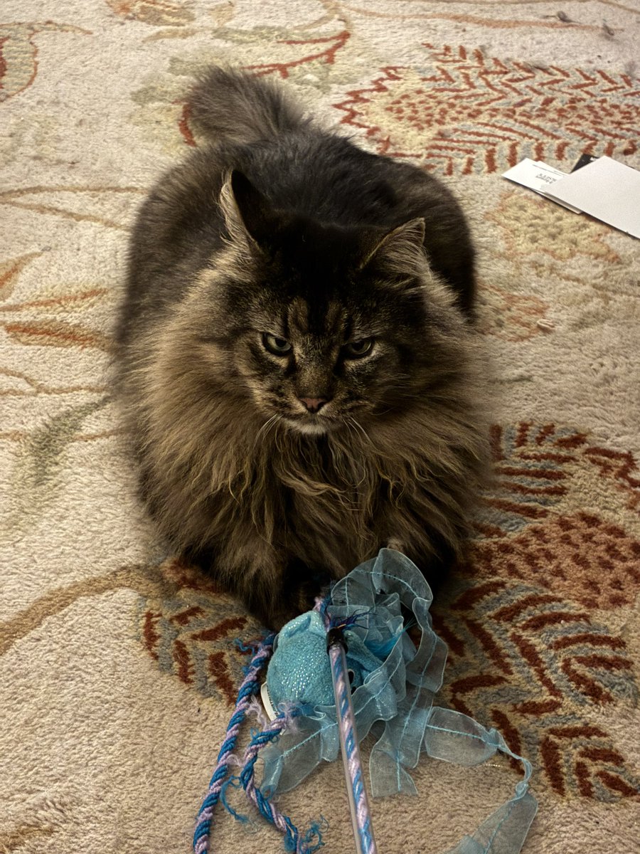 holdimg mine jellypich amd feelign evil,, 🪼