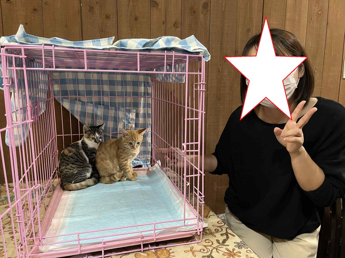 あきとくんあきなちゃん お見合い大成功❤ 兄妹一緒のおうちへ行くよー