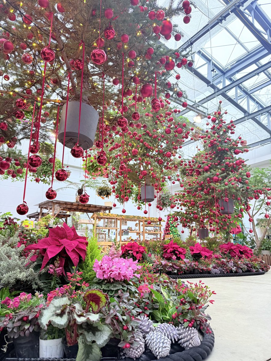 HANA・BIYORI 【公式】 (@Hanabiyori8717) / Posts / X