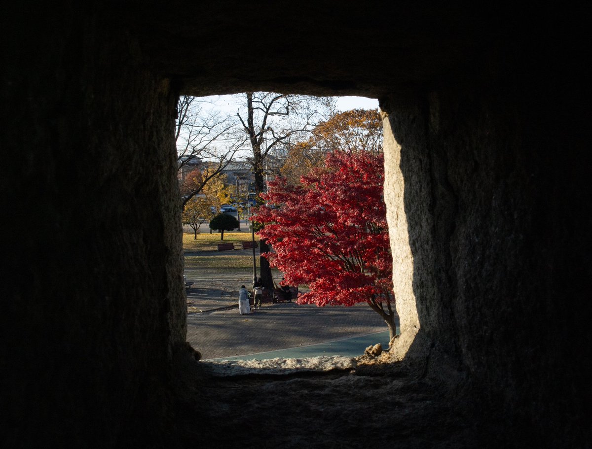 Elution2002's tweet image. 