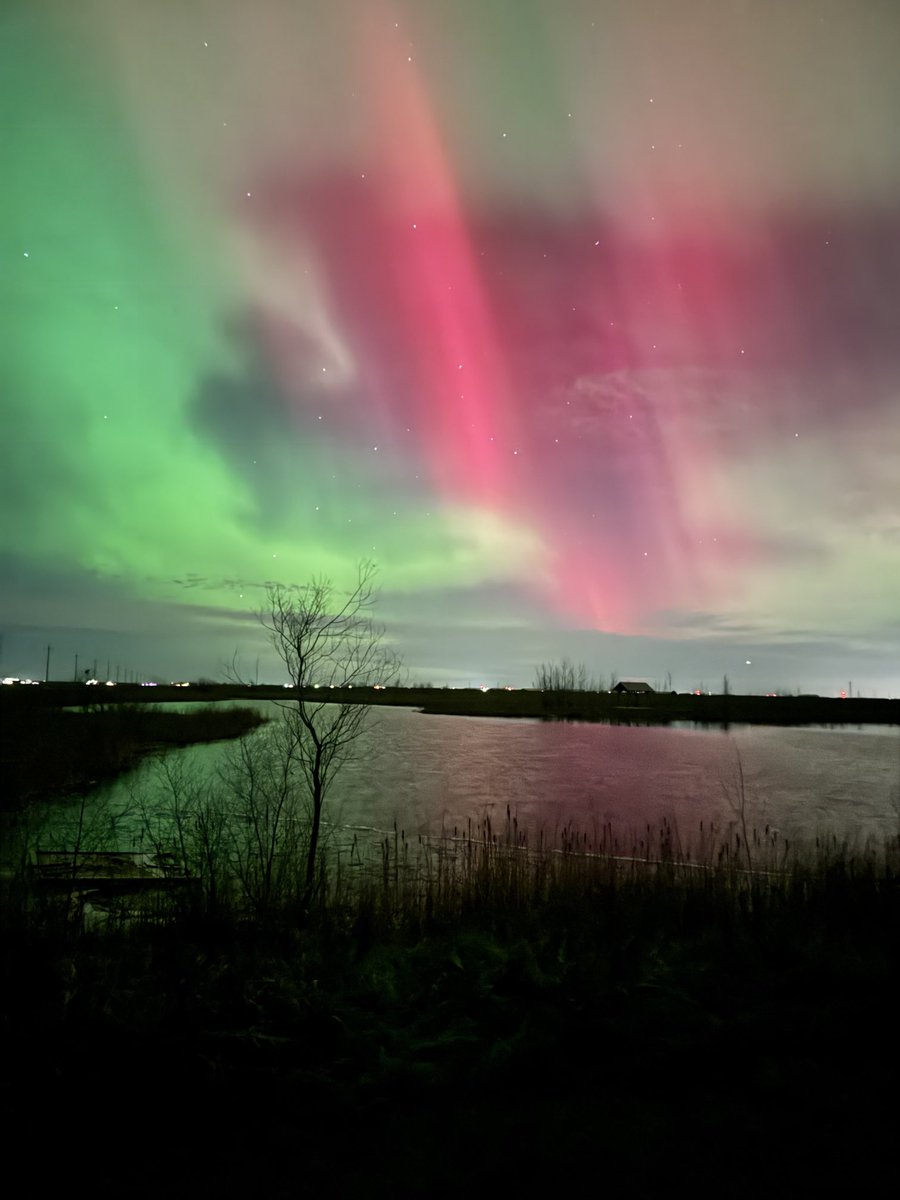 M Loeppky tweet media