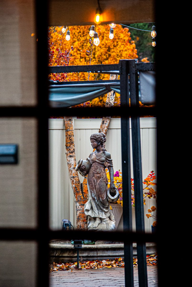 Vaya foto que me disparé hoy.