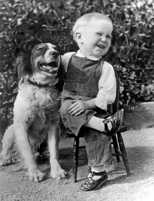 #MyNewAdventureTakesMe

To my new ventriloquist act with next door's dog.