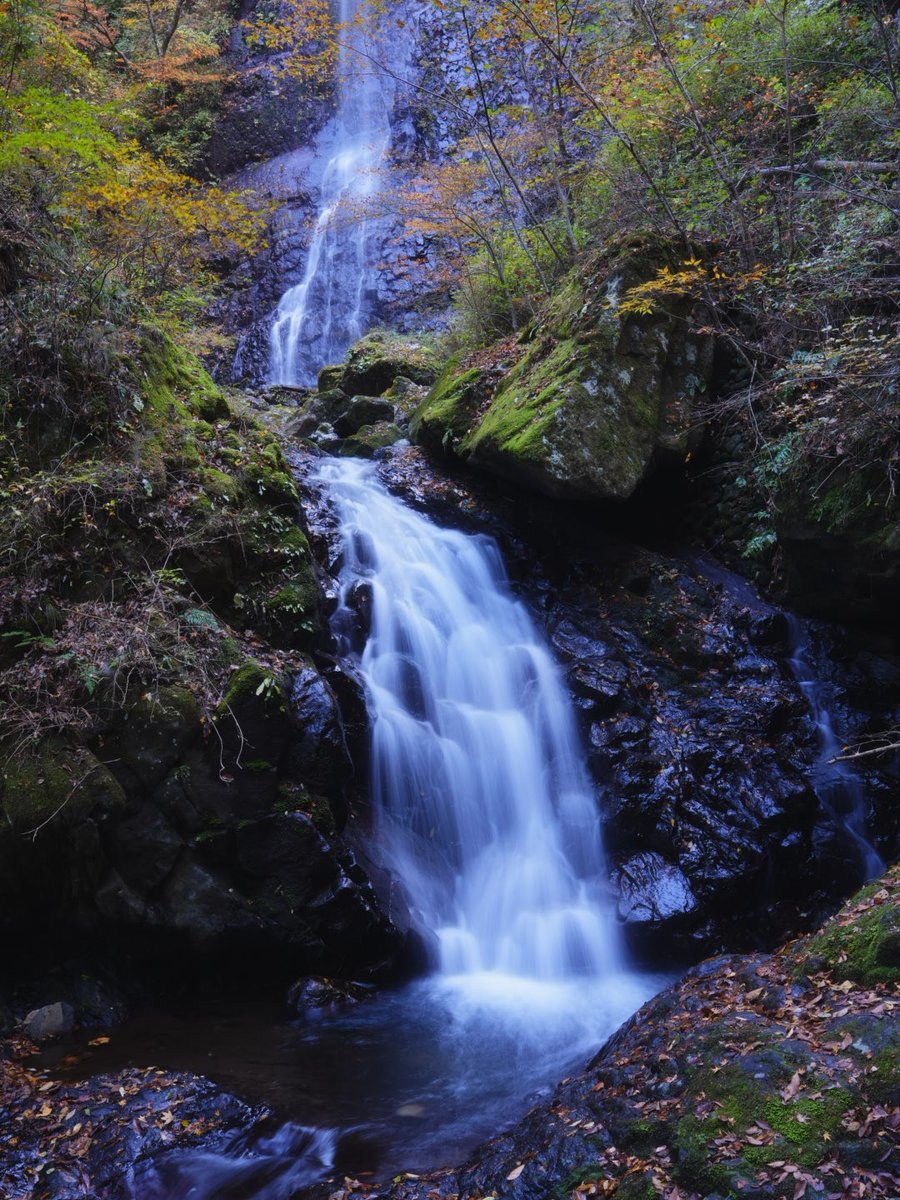 #きみとバンド 
#清原梨央 
#大野真依 
白猪の滝にバスで到着してから３時間ぐらい滞在しとったんやけど、がいなあっという間やった！🍁
全く人がおらんしちょびっと不安やったけん、1、2人とすれ違っただけで少し心が救われた😅

紅葉×チェキとちゃんと撮ってみたやーつ。