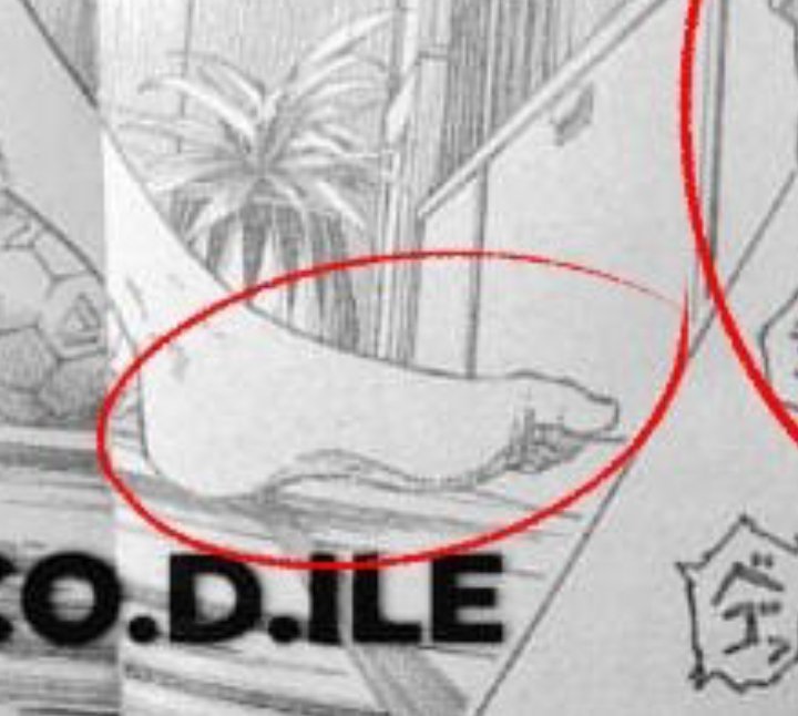 leez ✧⁠◝⁠(⁠⁰⁠▿⁠⁰⁠)⁠◜⁠✧ tweet media