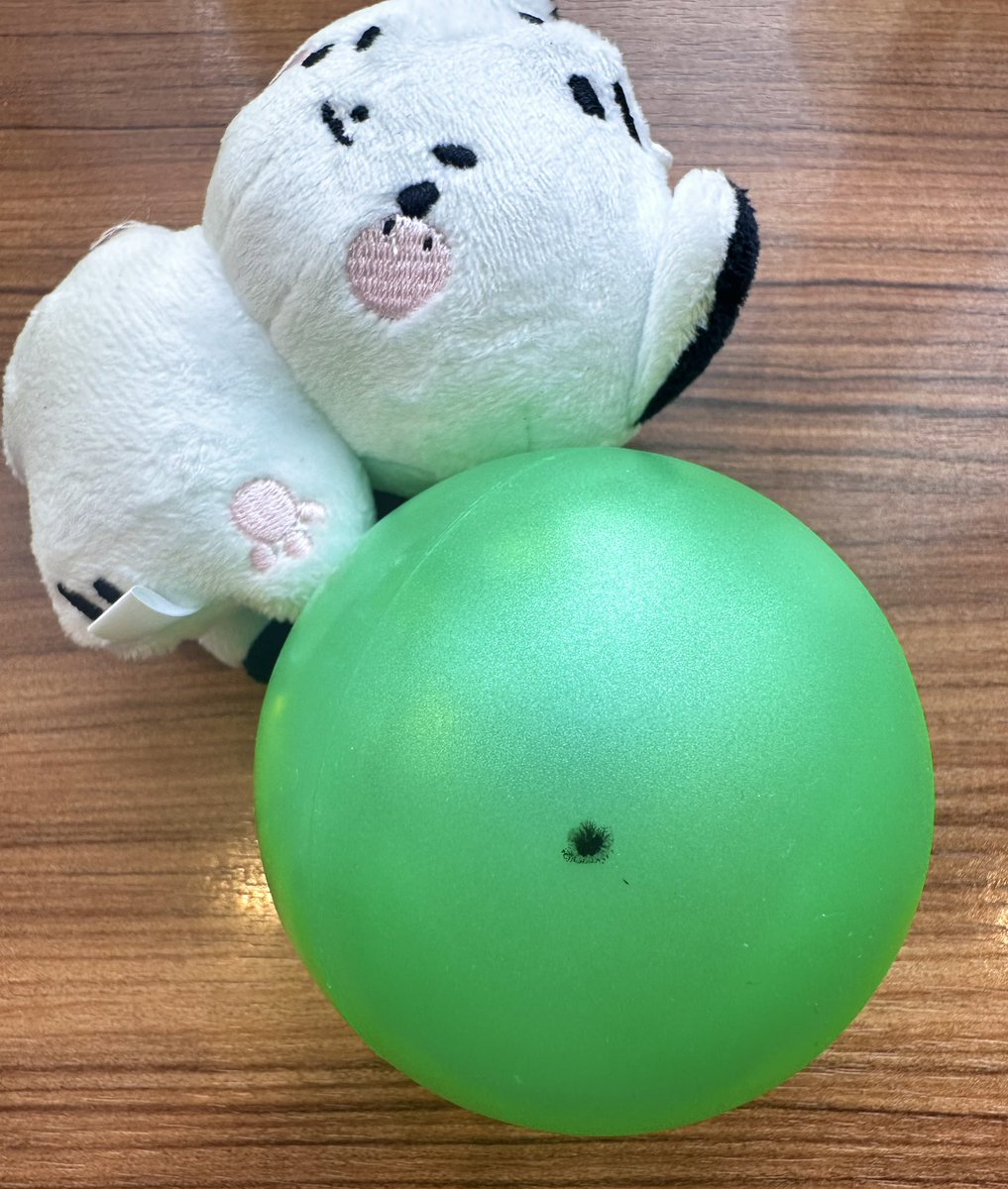 初めて!初めてボール取れました✨ 嬉しい宝物✨ (サインの反対側にも