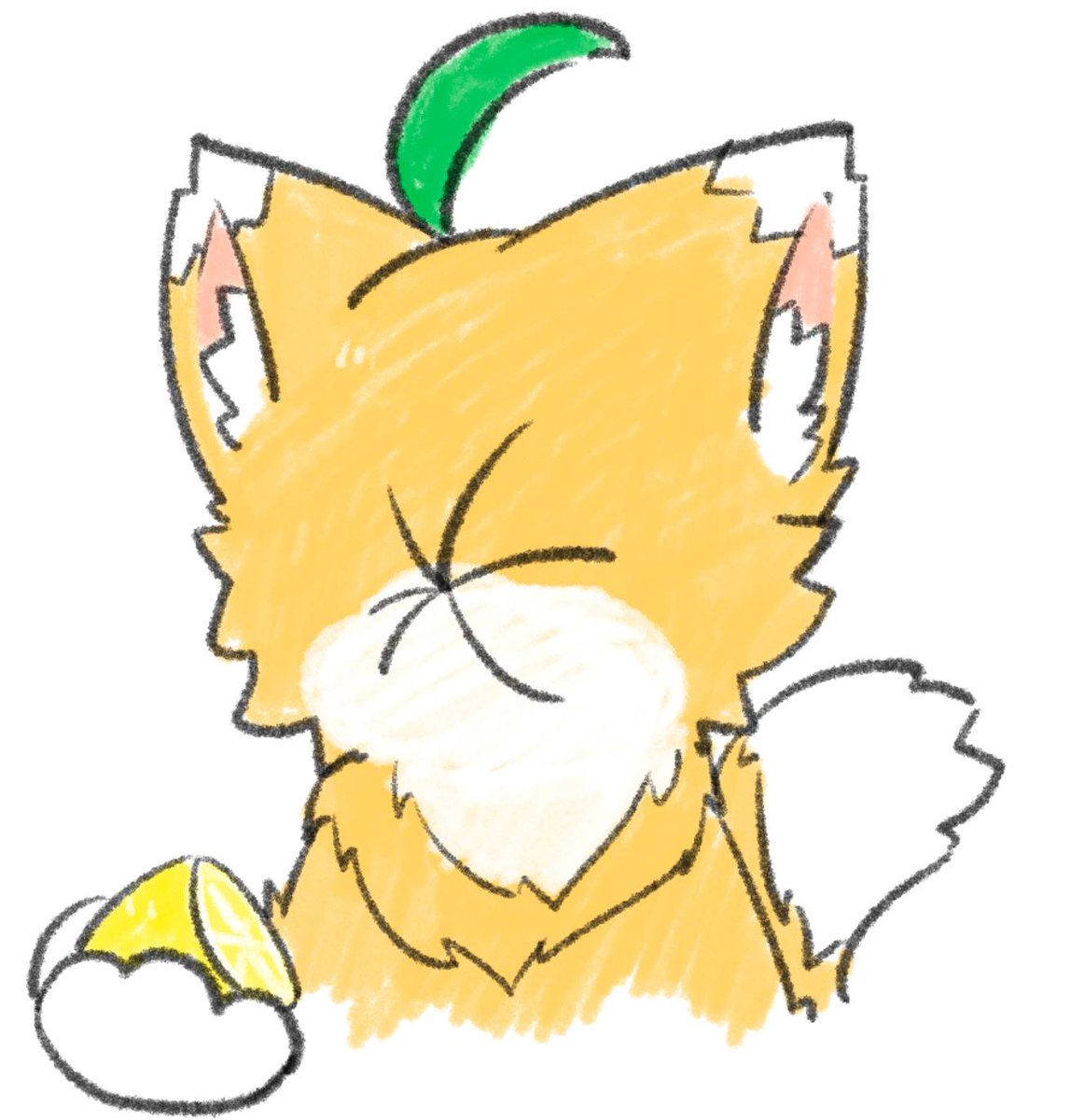 고스트 타입 포켓몬은 고스트 공격에 2배의 데미지를 입는대요.
그럼 레몬고양이 레시는 레몬에 어떤 반응을..
 헉!