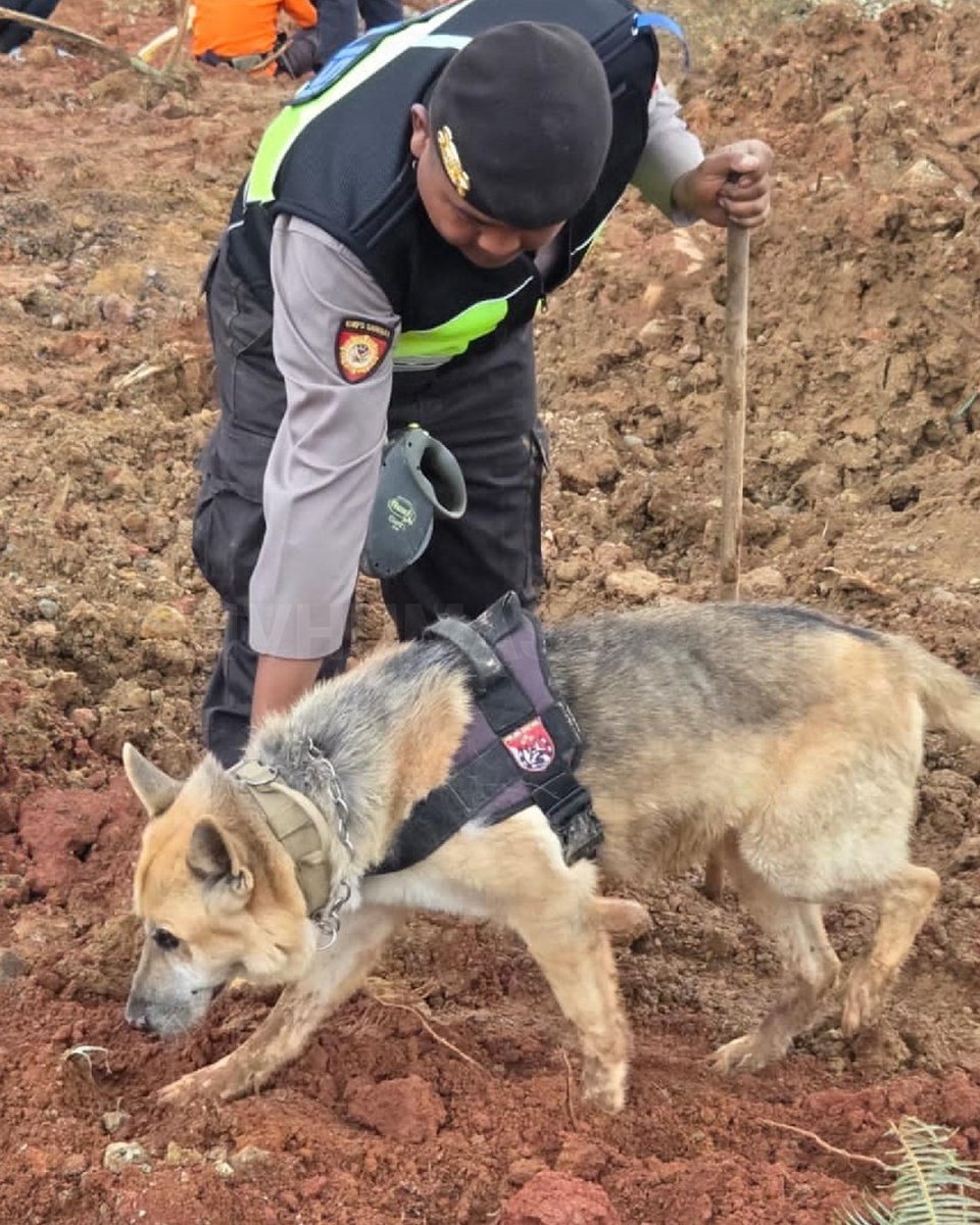 Polri melalui Polda Jawa Tengah menurunkan ratusan personel serta tim anjing pelacak (K9) untuk memperkuat upaya pencarian korban tanah longsor Desa Cipendeuy, Kecamatan Majenang, Kabupaten Cilacap. Terus Mengabdi Dengan Humanis Wujud #PelayananPolisi Maksimal Untuk Masyarakat