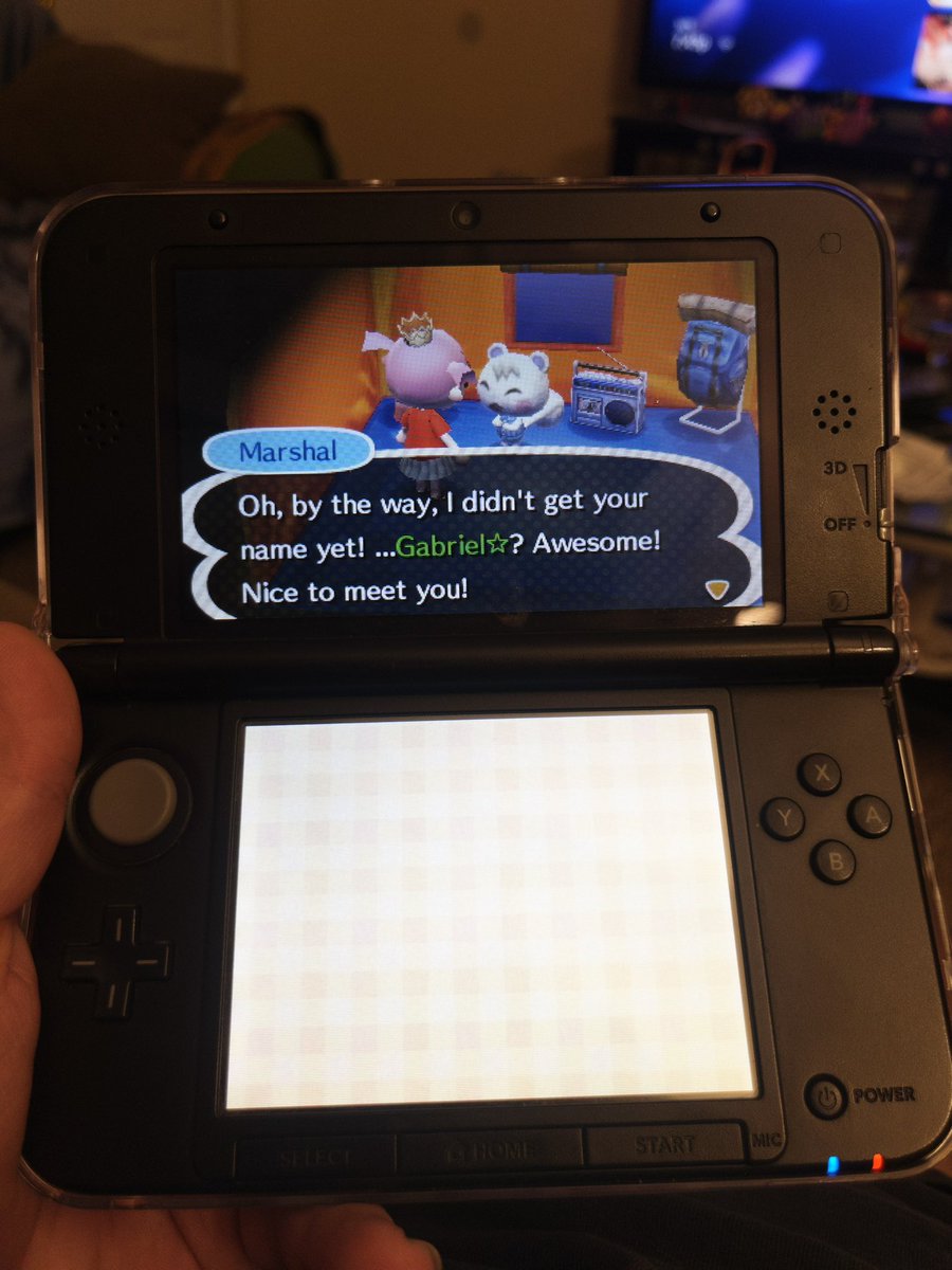 griblr's tweet image. this is absolutely insane to me, YEARS after #animalcrossing #newleaf has come and gone, i’ve picked it up again, and low and behold MOTHER LOVING MARSHAL IS MY FIRST CAMPSITE VISITOR AND HE’S GONNA MOVE TO MY TOWN!!!!! #WHATTHEWHAT