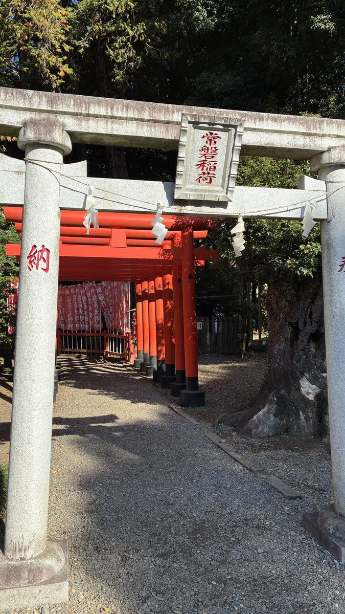 ミサンドー (@Yanfei9831) / Posts / X