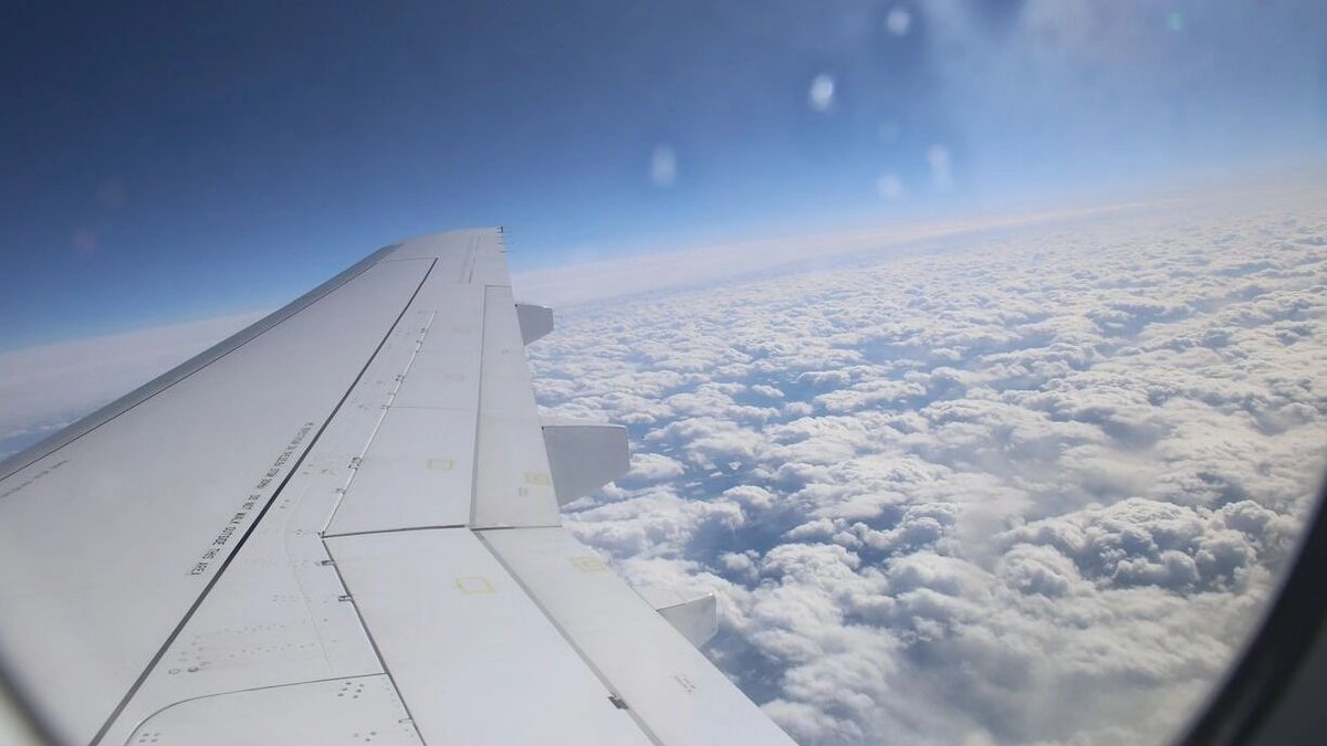 Из Красноярска в декабре запустят прямые рейсы в казахстанский Шымкент 
prmira.ru/news/2025-11-1…