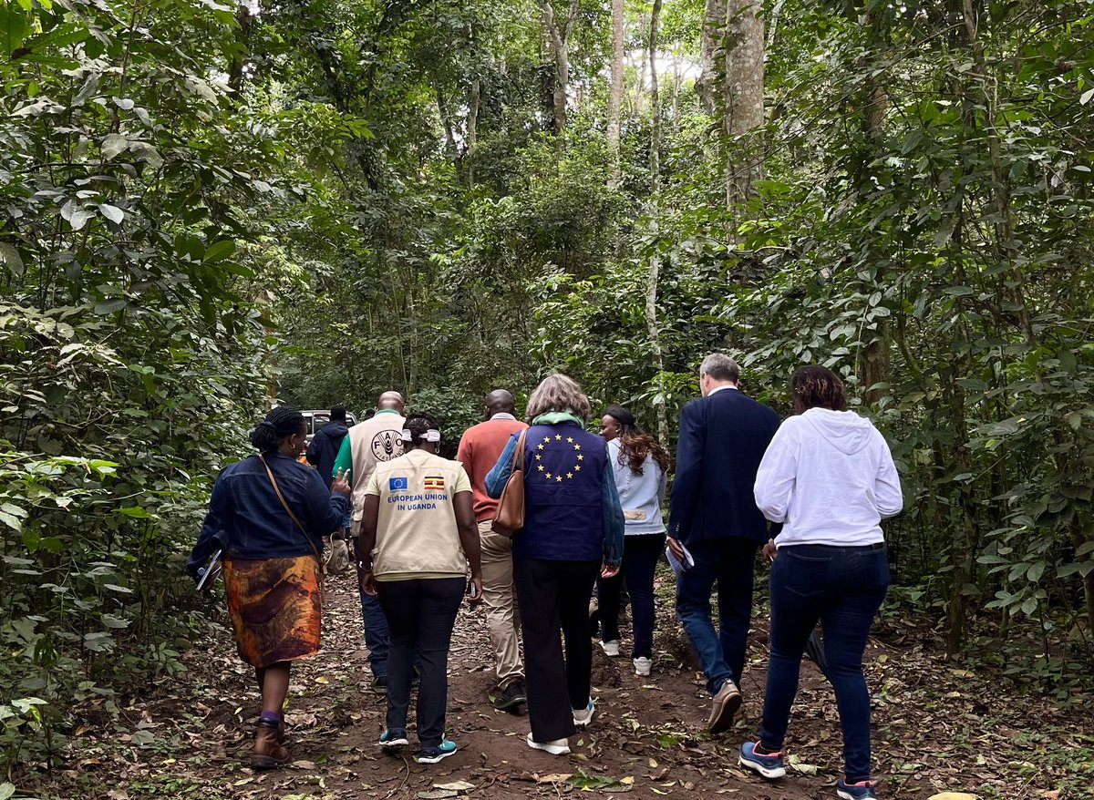 Denmark in Uganda tweet media