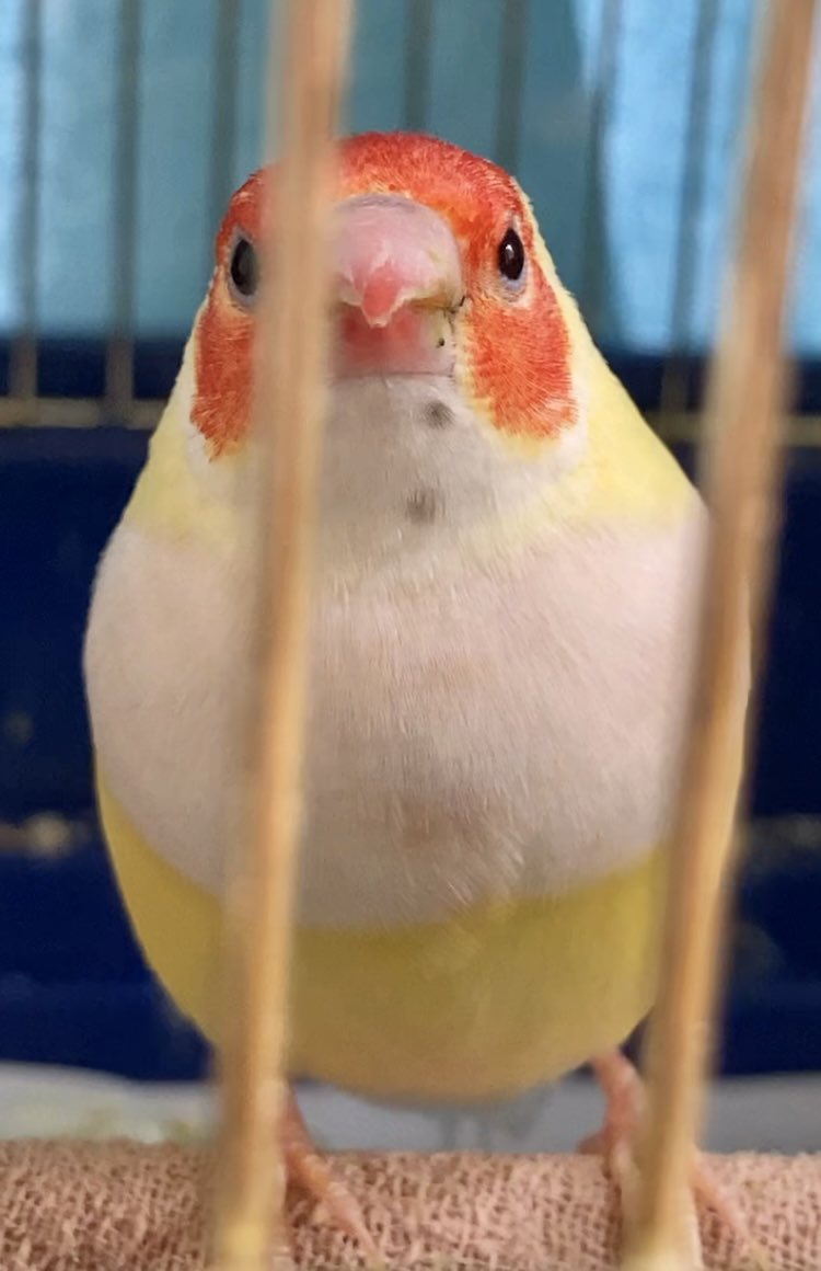 <a href="/kokotensui/">ここてんすい</a>