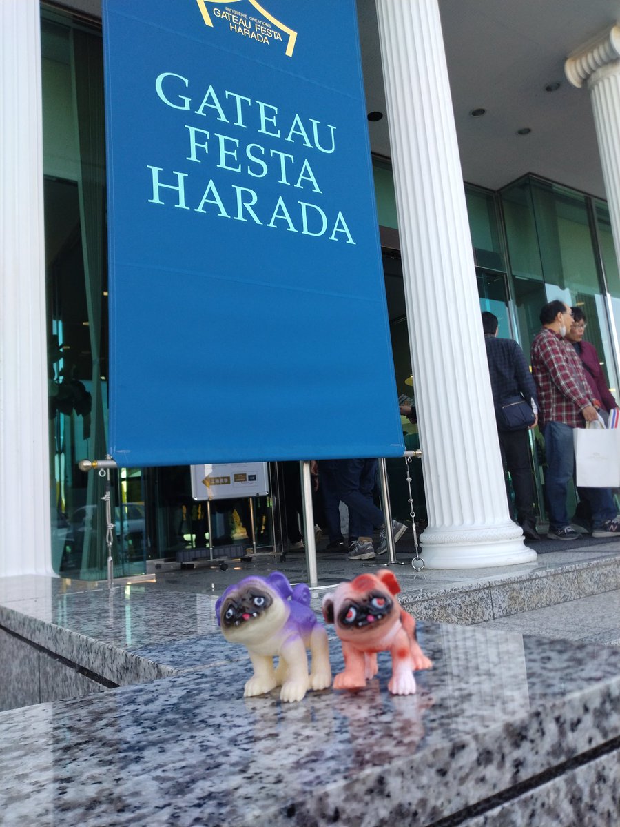 本店🙌
#パグ獣
#ナス獣
#ミケ獣
#ガトーフェスタハラダ