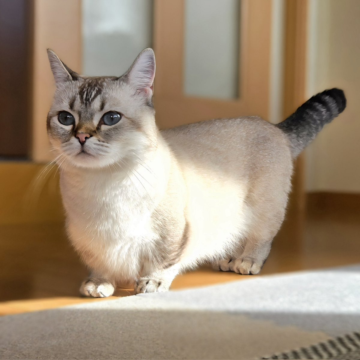 まるママ (@maruchannel0820) / Posts / X