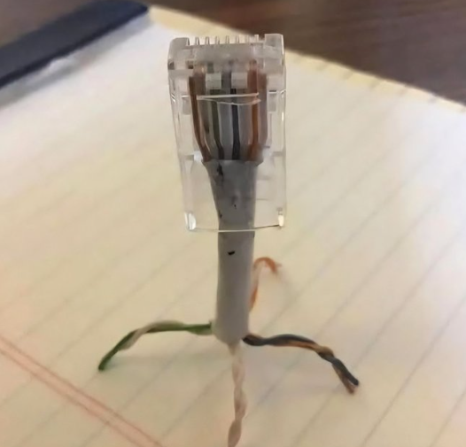 if u are a CS student , 
then tell me what is this