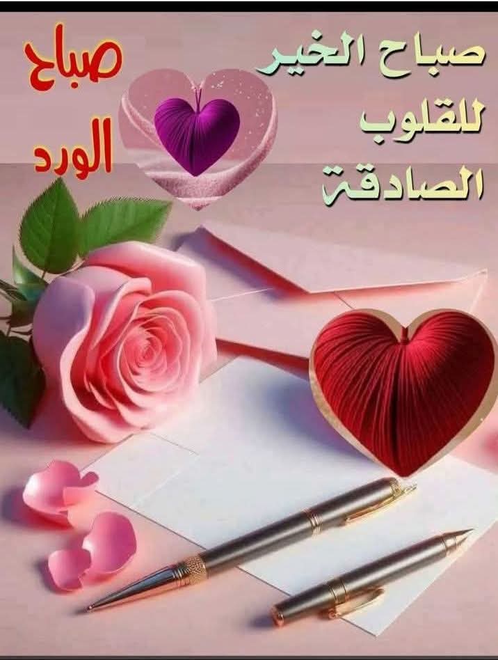 ياسر الدسوقى (@z1dstwcwddjcvjg) on Twitter photo 