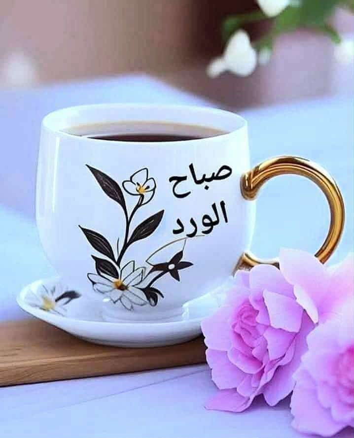 ياسر الدسوقى (@z1dstwcwddjcvjg) on Twitter photo 