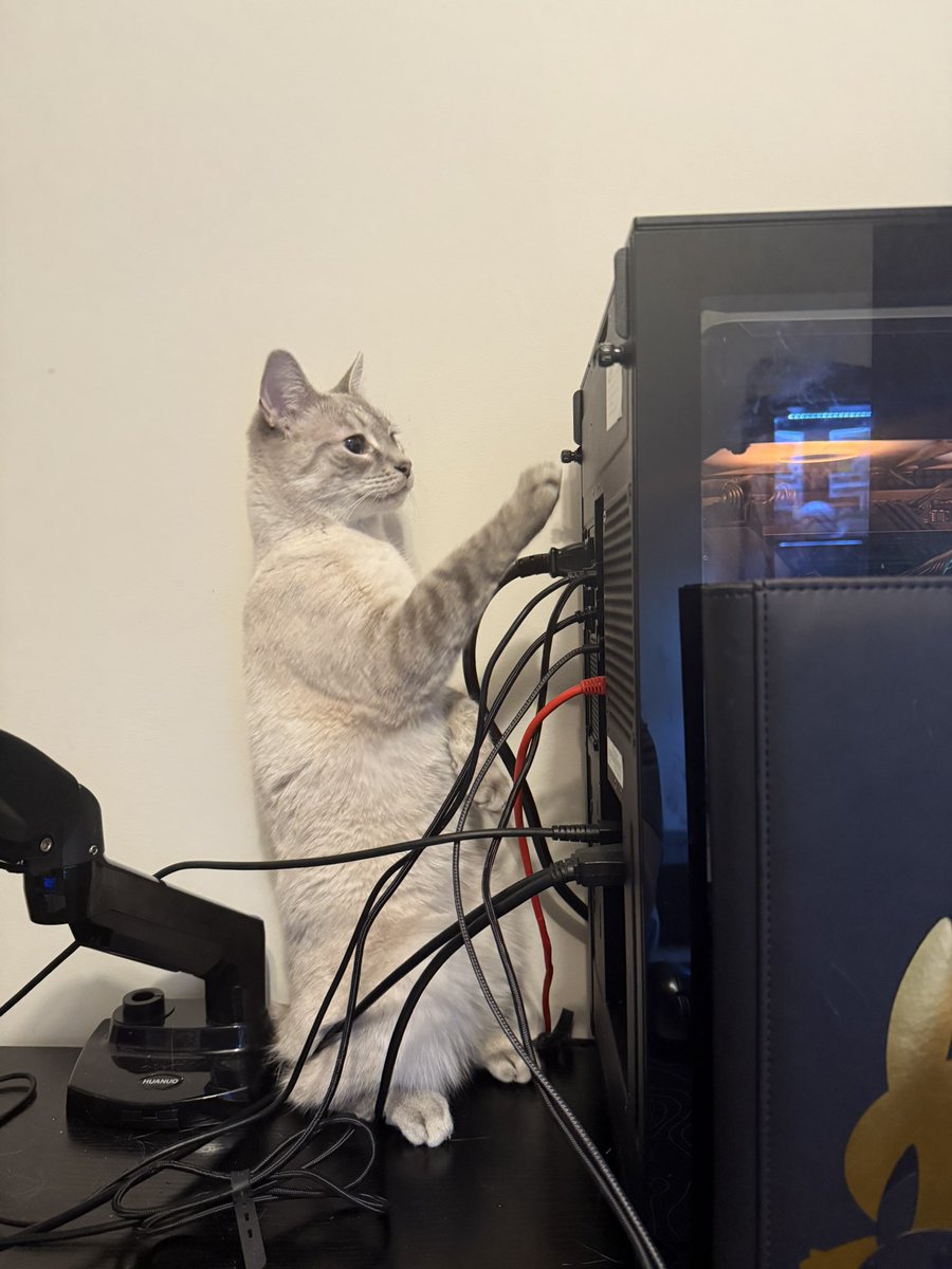 My IT guy is retarded